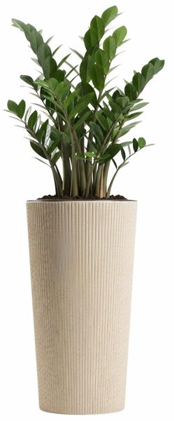 PLASTOVÝ KVĚTINÁČ URBANIKA ECO 36,5X19,5 CM LATTE