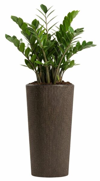 PLASTOVÝ KVĚTINÁČ URBANIKA ECO 36,5X19,5 CM TMAVĚHNĚDÁ