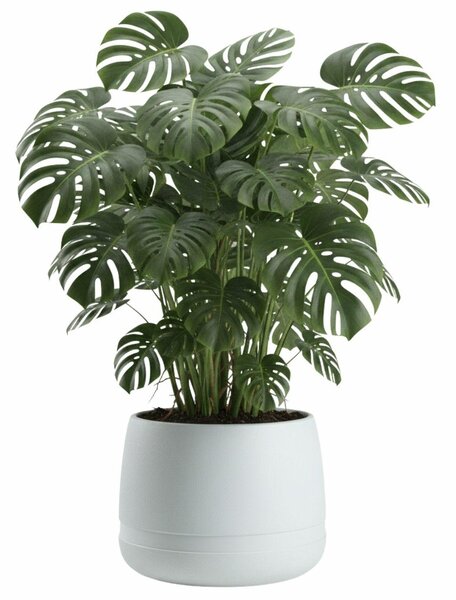 PLASTOVÝ KVĚTINÁČ LUNA VASE 48X38 CM BÍLÁ
