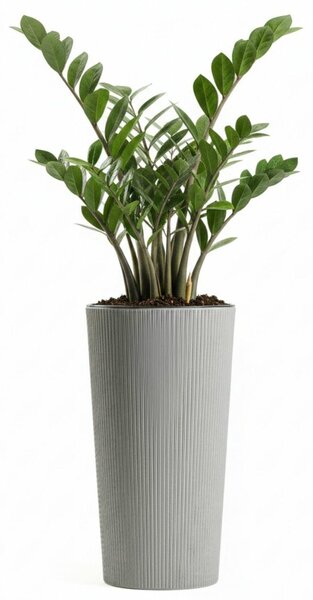 PLASTOVÝ KVĚTINÁČ URBANIKA ECO 36,5X19,5 CM ŠEDÁ