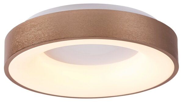 Rabalux 5052 - LED Stropní svítidlo CARMELA LED/30W/230V