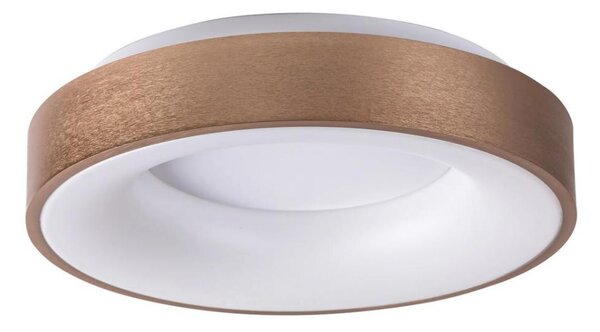 Rabalux 5052 - LED Stropní svítidlo CARMELA LED/30W/230V