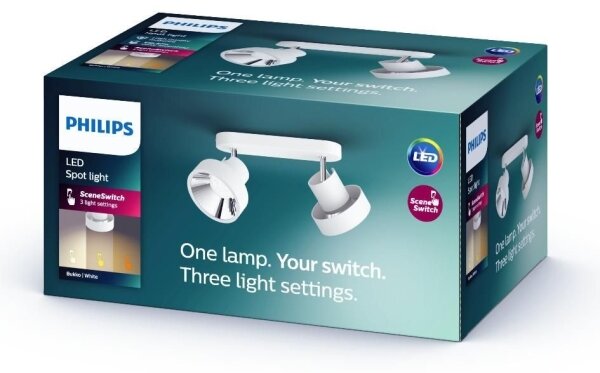 Philips 50602/31/P0 - LED Bodové svítidlo BUKKO 2xLED/4,5W/230V