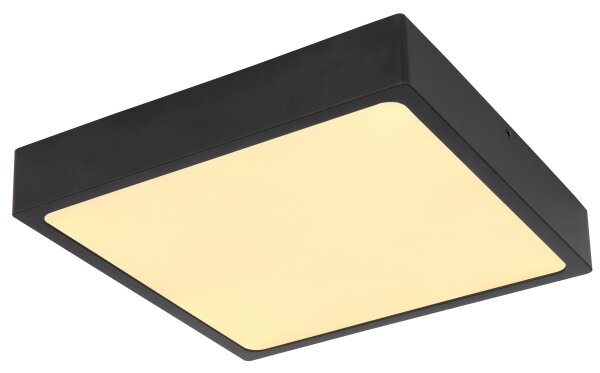 Globo 12369-22 - LED Stropní svítidlo ECHO LED/22W/230V