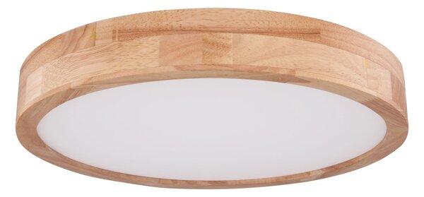 Globo 41745-24 - LED Stmívatelné stropní svítidlo RAINER LED/24W/230V + DO