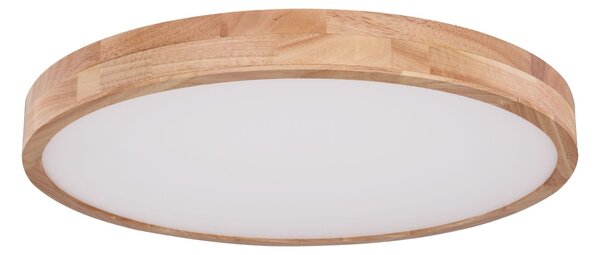 Globo 41745-48 - LED Stmívatelné stropní svítidlo RAINER LED/48W/230V + DO