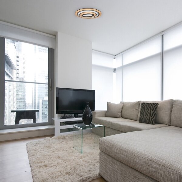 Rabalux 3097 - LED Stmívatelné stropní svítidlo TANELI LED/41W/230V + DO