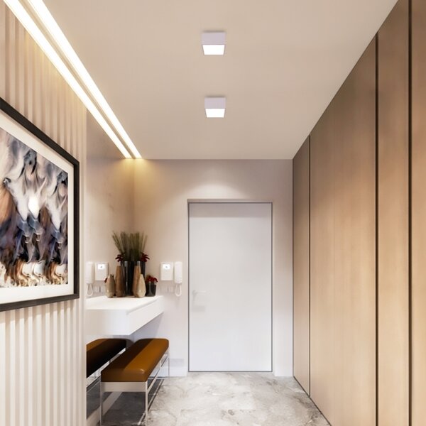 Immax NEO 07072L-15 - LED Stmívatelné svítidlo CANTO LED/12W/230V bílá