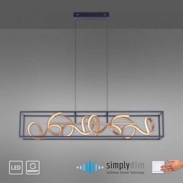 Paul Neuhaus 2416-18 - LED Stmívatelný lustr na lanku SELINA 4xLED/10,2W/230V
