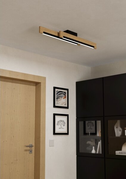 Eglo 99292 - LED Stmívatelné stropní svítidlo CAMACHO 2xLED/10W/230V