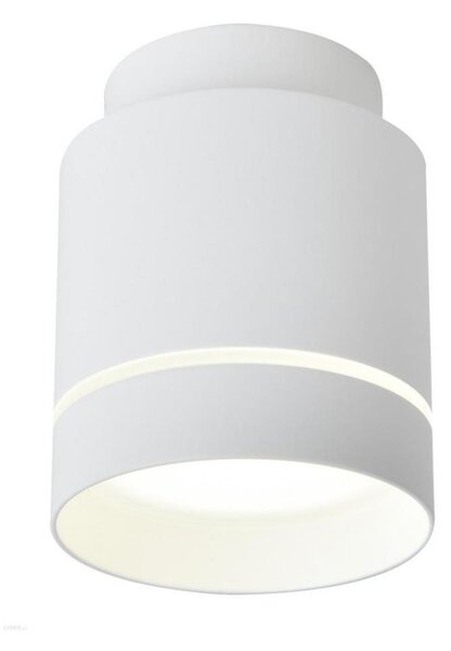 LED Stropní svítidlo TUBA LED/12W/230V