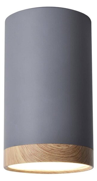 LED Stropní svítidlo TUBA LED/9W/230V