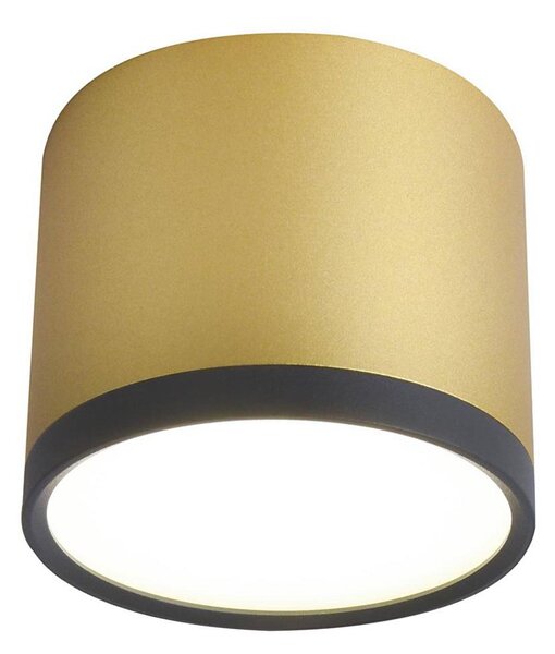 LED Stropní svítidlo TUBA LED/9W/230V