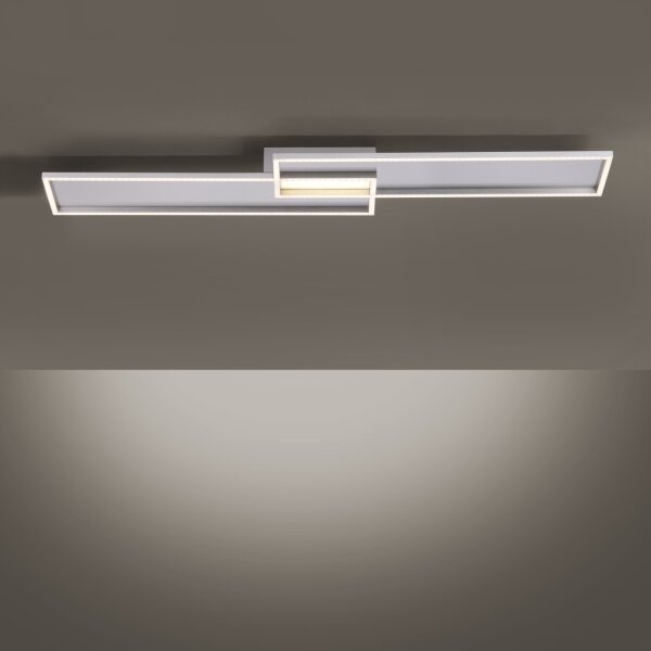 Paul Neuhaus 8371-55 - LED Stmívatelné stropní svítidlo AMARA LED/40W/230V + DO