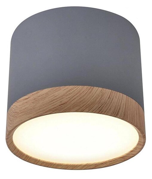 LED Stropní svítidlo TUBA LED/9W/230V