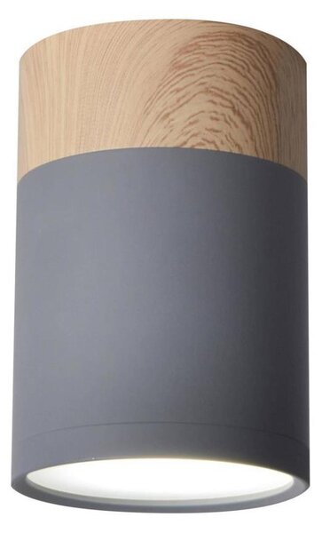 Stropní svítidlo TUBA GU10/15W/230V