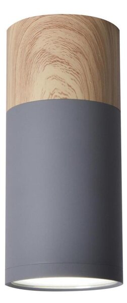 Stropní svítidlo TUBA GU10/15W/230V