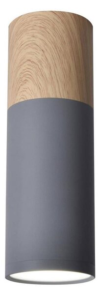 Stropní svítidlo TUBA GU10/15W/230V