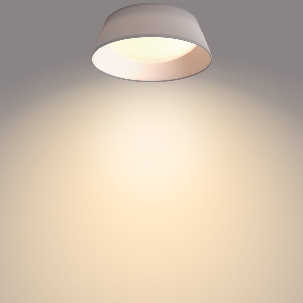 Philips - LED Stropní svítidlo DAWN LED/14W/230V šedá