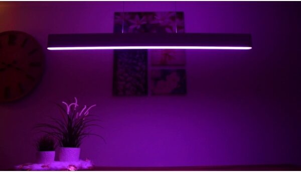 Philips 40903/30/P9-LED RGBW Stmívatelný lustr na lanku Hue ENSIS 2xLED/39W/230V