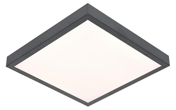 LED Stropní svítidlo VITALI LED/24W/230V