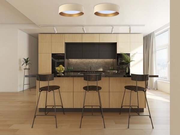 LED Stmívatelné stropní svítidlo SMART GALAXY LED/24W/230V béžová/zlatá + DO