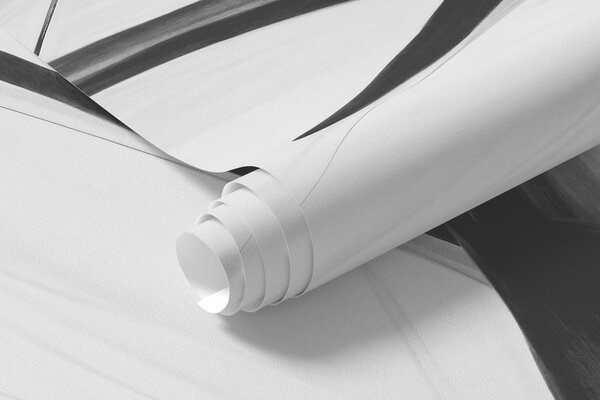 Fototapety Abstraktní černobílé tahy štětcem s tenkými čarami vytvářejí moderní design na světlém pozadí., Fototapety abstraktní, w09605 : uwalls.cz