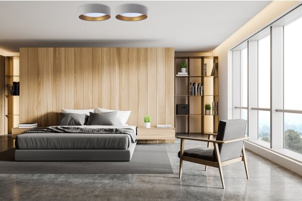 LED Stmívatelné stropní svítidlo SMART GALAXY LED/24W/230V šedá/zlatá + DO