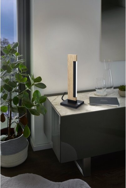 Eglo 99295 - LED Stmívatelná stolní lampa CAMACHO LED/6,5W/230V
