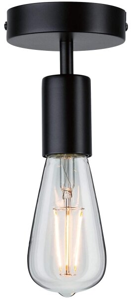 Paulmann 79760 - Stropní svítidlo HALDOR 1xE27/20W/230V