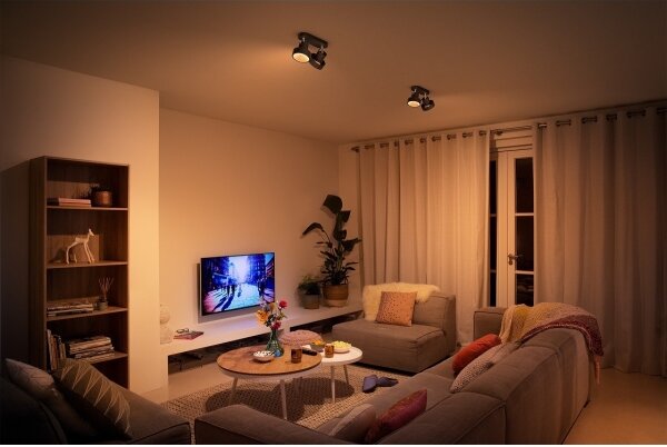 Philips 50602/30/P0 - LED Stmívatelné bodové svítidlo BUKKO 2xLED/4,5W/230V
