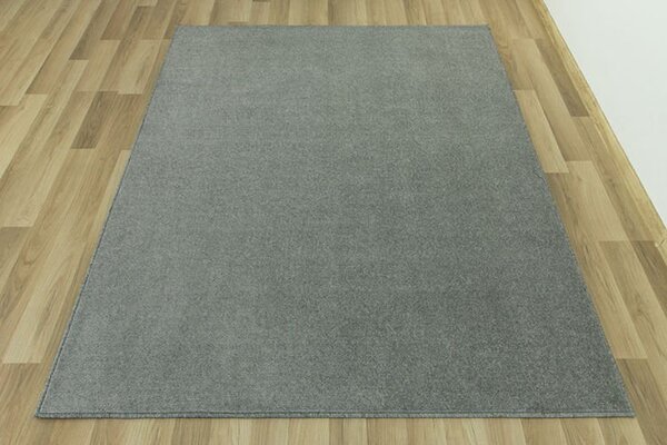 Kobercový ráj Kusový koberec Dynasty 75 stříbrný Rozměr: 100x200 cm
