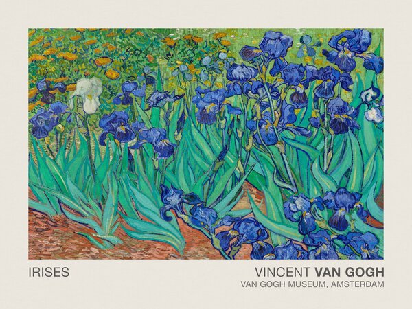 Obrazová reprodukce Irises (Museum Vintage Floral / Flower Landscape) - Vincent van Gogh, (40 x 30 cm)