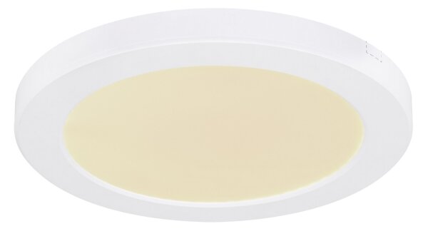 Globo 12379-18W - LED Stropní svítidlo LASSE LED/18W/230V