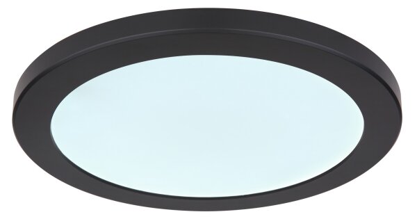 Globo 12379-24B - LED Stropní svítidlo LASSE LED/24W/230V