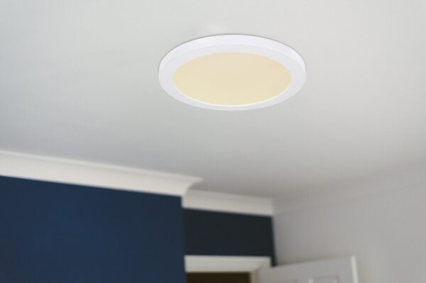 Globo 12379-24W - LED Stropní svítidlo LASSE LED/24W/230V