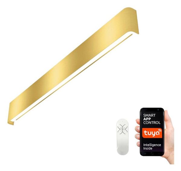Immax NEO 07137-G - LED SMART Stmívatelné svítidlo LINEA LED/40W/230V + DO 76 cm