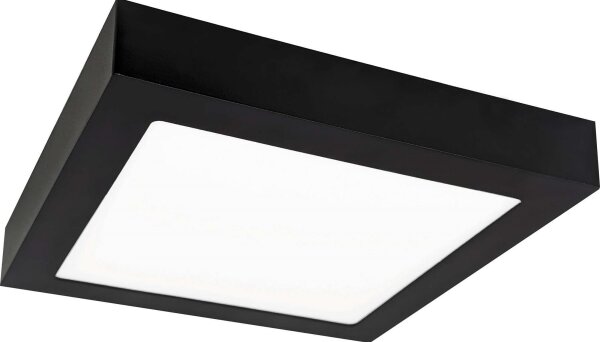 LED Stropní svítidlo FENIX LED/12W/230V 2800K 17 cm