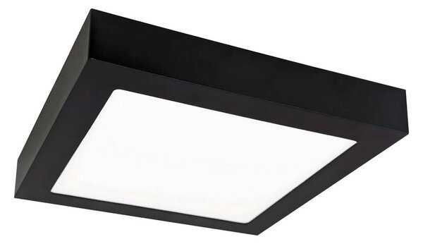 LED Stropní svítidlo FENIX LED/12W/230V 2800K 17 cm