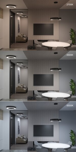 Immax NEO 7133 - LED SMART Stmívatelné svítidlo CÉČKO LED/52W/230V + DO 60 cm