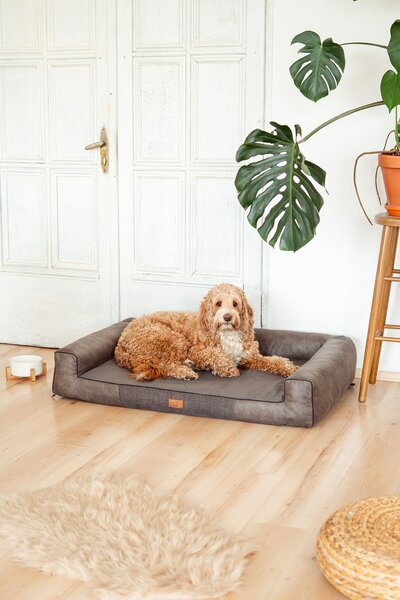 Pes Oliver Pelech Oliver Orthopedic, grafit Velikost: L - 84 x 60 cm