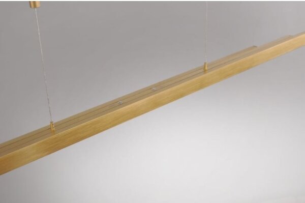 Paul Neuhaus 2568-60 - LED Stmívatelný lustr na lanku ADRIANA LED/14W/230V mosaz