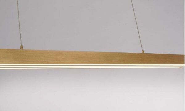 Paul Neuhaus 2568-60 - LED Stmívatelný lustr na lanku ADRIANA LED/14W/230V mosaz