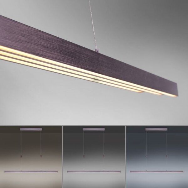 Paul Neuhaus 2568-24 - LED Stmívatelný lustr na lanku ADRIANA LED/14W/230V