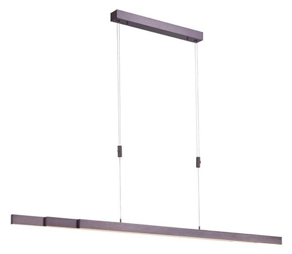 Paul Neuhaus 2568-24 - LED Stmívatelný lustr na lanku ADRIANA LED/14W/230V
