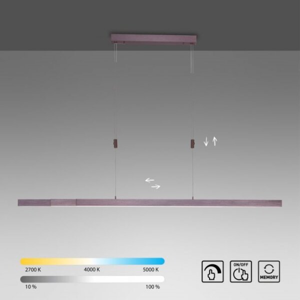 Paul Neuhaus 2568-24 - LED Stmívatelný lustr na lanku ADRIANA LED/14W/230V
