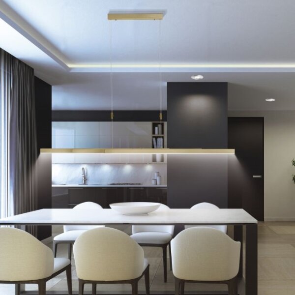 Paul Neuhaus 2568-60 - LED Stmívatelný lustr na lanku ADRIANA LED/14W/230V mosaz