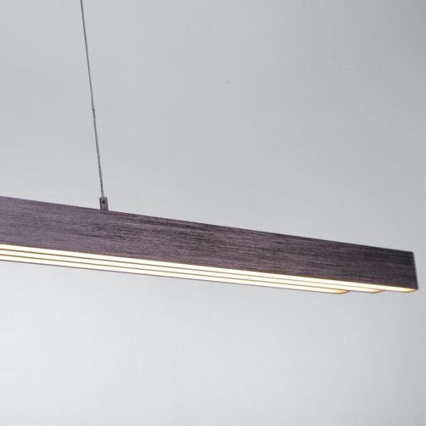 Paul Neuhaus 2568-24 - LED Stmívatelný lustr na lanku ADRIANA LED/14W/230V