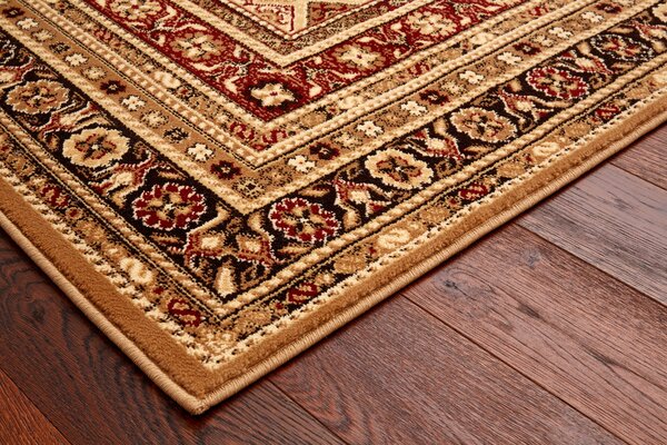 Běhoun Agnella Standard Remo Tmavě Hnědý Šíře: 70 cm