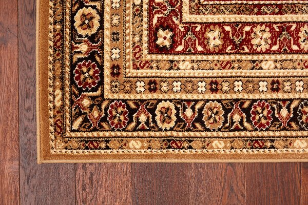 Běhoun Agnella Standard Remo Tmavě Hnědý Šíře: 70 cm
